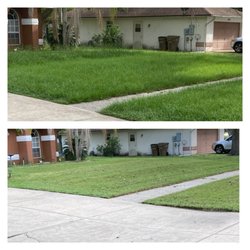 Bradford & Sons Lawn Maintenance And Tree Services