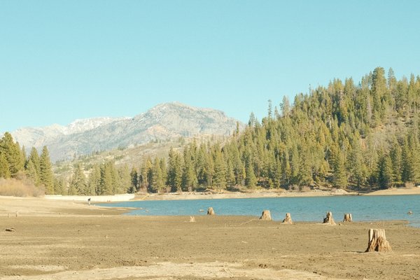 Kings Canyon National Park by null