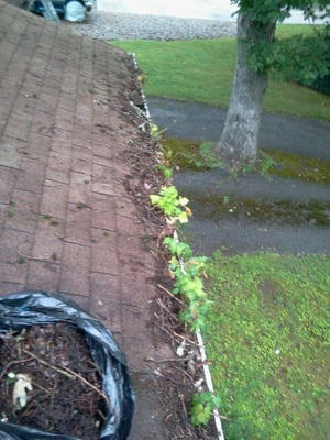 gutter cleaning and gutter guard installation - Gutter cleaning and micro mesh stainless steel gutter guard installation gutter cleaning and gutter guard installation - Gutter cleaning and micro mesh stainless steel gutter guard installation