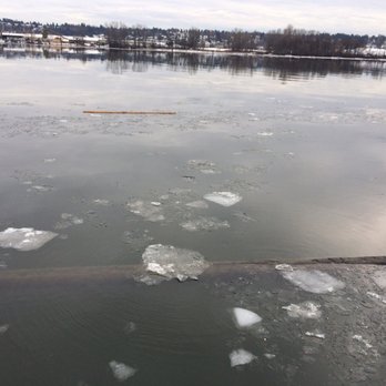 Westminster Pier Park - Ice floes (or icebergs) floating on Fraser River - Parks Near Me Westminster Pier Park - Ice floes (or icebergs) floating on Fraser River - Parks Near Me