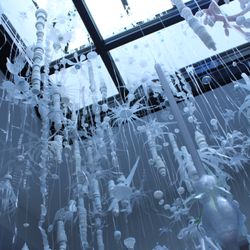 Brattleboro Museum & Art Center - "Aurora Robson: Human Nature Walk" on view at Brattleboro Museum & Art Center June 24, 2023 - February 11, 2024. Photo by Erin Jenkins.