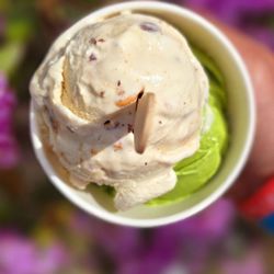 Maple Hazelnut + Matcha