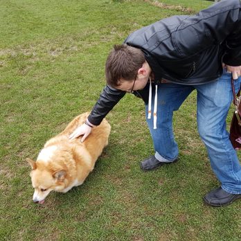 Knox Farm State Park - Big corgi strikes again! His name is actually Max. - Botanical Gardens Near Me - East Aurora, New York Knox Farm State Park - Big corgi strikes again! His name is actually Max. - Botanical Gardens Near Me - East Aurora, New York