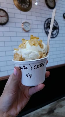 Cauldron Ice Cream by null