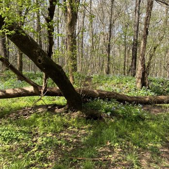 Bull Run Regional Park - Parks Near Me - Centreville, Virginia Bull Run Regional Park - Parks Near Me - Centreville, Virginia
