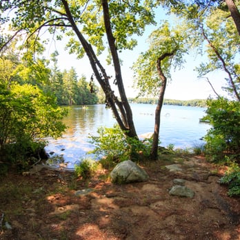 Pawtuckaway State Park - Horse Island Site 19 - Parks Near Me - Nottingham, New Hampshire Pawtuckaway State Park - Horse Island Site 19 - Parks Near Me - Nottingham, New Hampshire