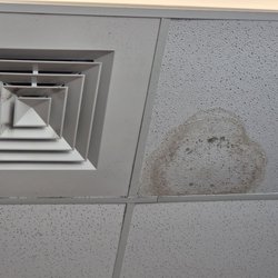 Clinical Pathology Laboratories - Gross water stain.