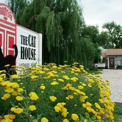 The Cat House - The front door
