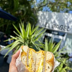 El Bagel - SEC sandwich on a jalapeño-cheddar bagel