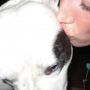Photo of NJ House Call Vet