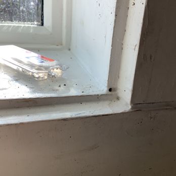 Select Home Improvements - Holes in caulk and ant trap - Windows Installation Near Me
