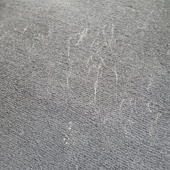 Hertz Rent A Car - Dog hair on the floor - Car Rental Near Me - Canoga Park, California Hertz Rent A Car - Dog hair on the floor - Car Rental Near Me - Canoga Park, California