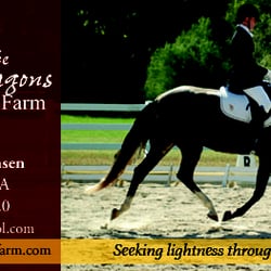There Be Dragons Farm - Helping your horse be his best and letting the horse bring out the best in ourselves.