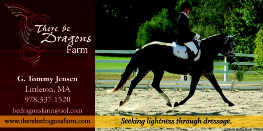 There Be Dragons Farm - equestrian in Littleton, MA