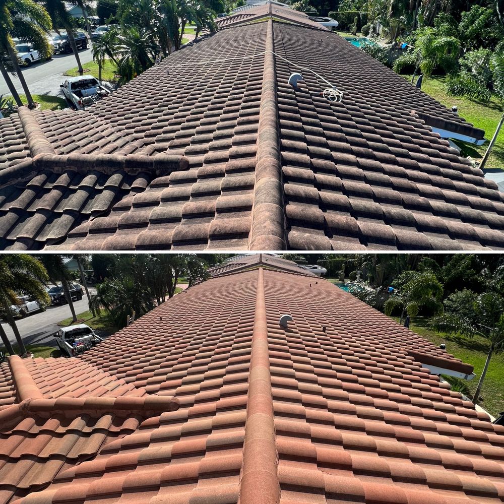 Slide of Kelly Restorations