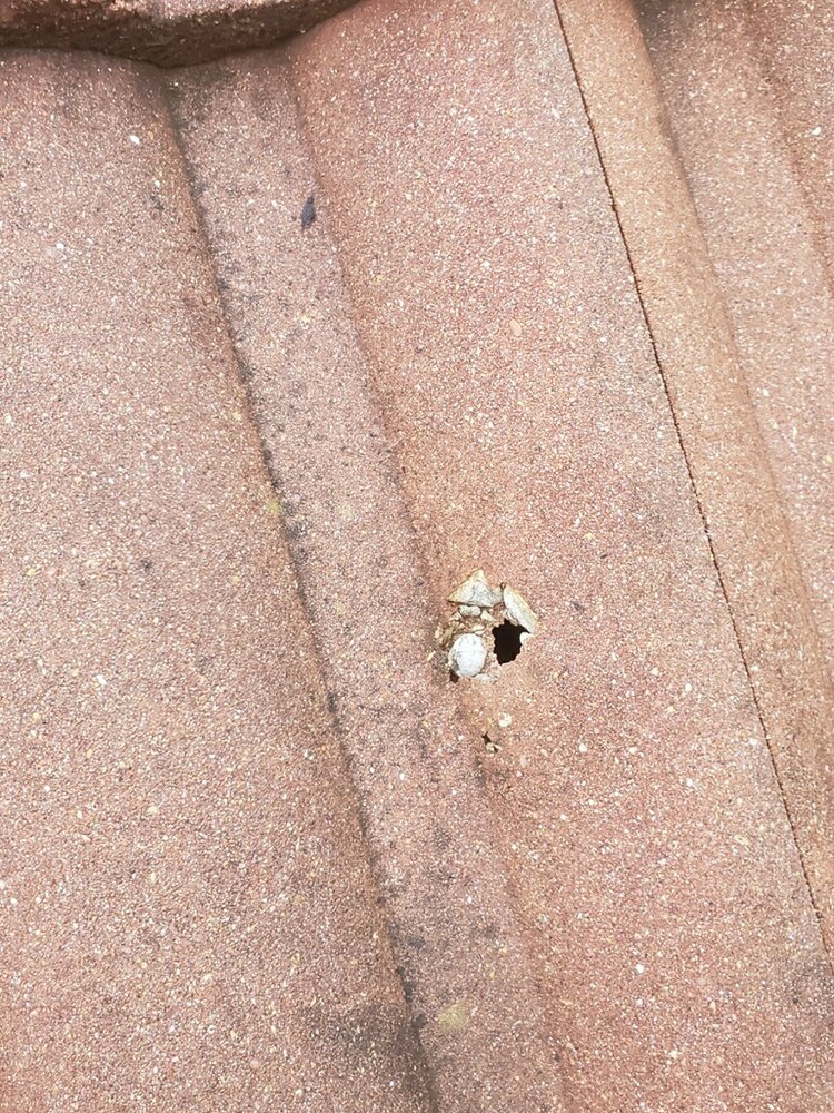 Slide of Wolfpack Roofing