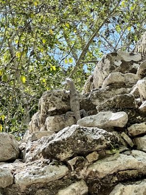 Zona arqueológica de Coba by null