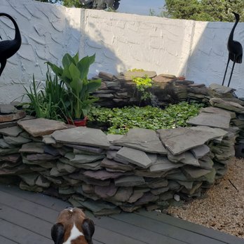 HydroZen Waterscapes - Before - Pool & Hot Tub Service Near Me - Millsboro, Delaware