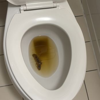SpringHill Suites by Marriott Jacksonville North I-95 Area - Poop in the room bathroom. - Hotels Near Me - Jacksonville, Florida SpringHill Suites by Marriott Jacksonville North I-95 Area - Poop in the room bathroom. - Hotels Near Me - Jacksonville, Florida