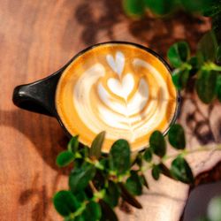 Amsterdam Coffee Bar - Latte