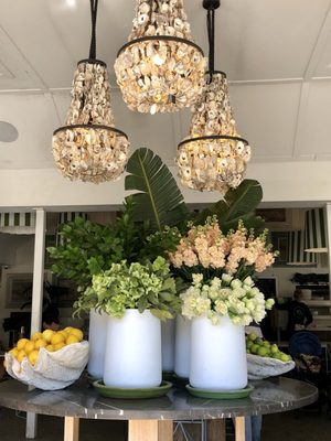 The Boathouse Shelly Beach by null