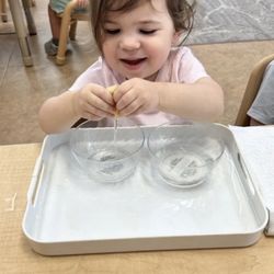 Preston Park Montessori
