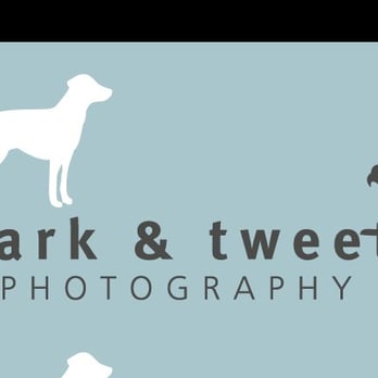 Bark & Tweet Photography - Pet Services Near Me - Austin, Texas Bark & Tweet Photography - Pet Services Near Me - Austin, Texas
