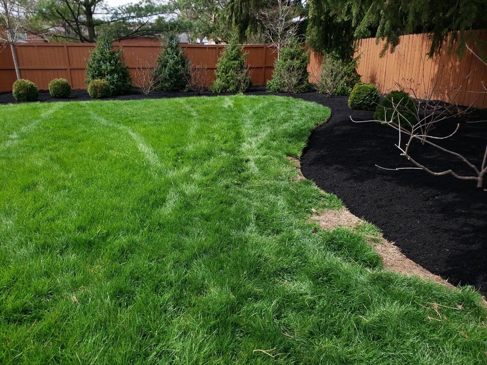 Morales Landscape - tree service in Columbus, OH