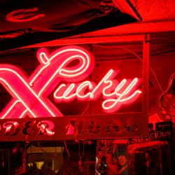 Lucky Liquor - Inside neon sign, illuminating a collection of music memorabilia