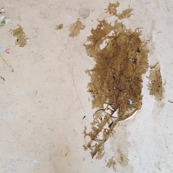 Xpress Automotive - Oil leak the day after the initial repair. - Auto Repair Near Me - Phoenix, Arizona