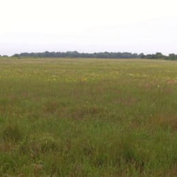 Yep, that looks like a prairie to me. Yep, that looks like a prairie to me.