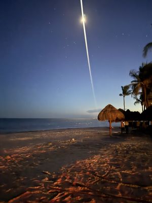 Dreams Tulum Resort & Spa by null