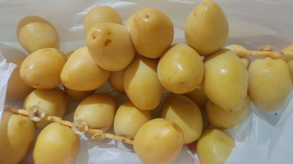 Parisa International Supermarket by null