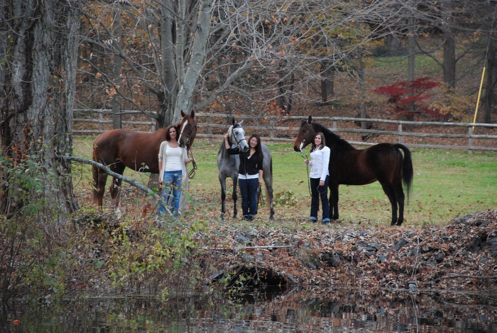 High Point Farms II - equestrian in North Haven, CT