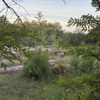 Davidson-Arabia Nature Preserve - Parks Near Me - Lithonia, Georgia