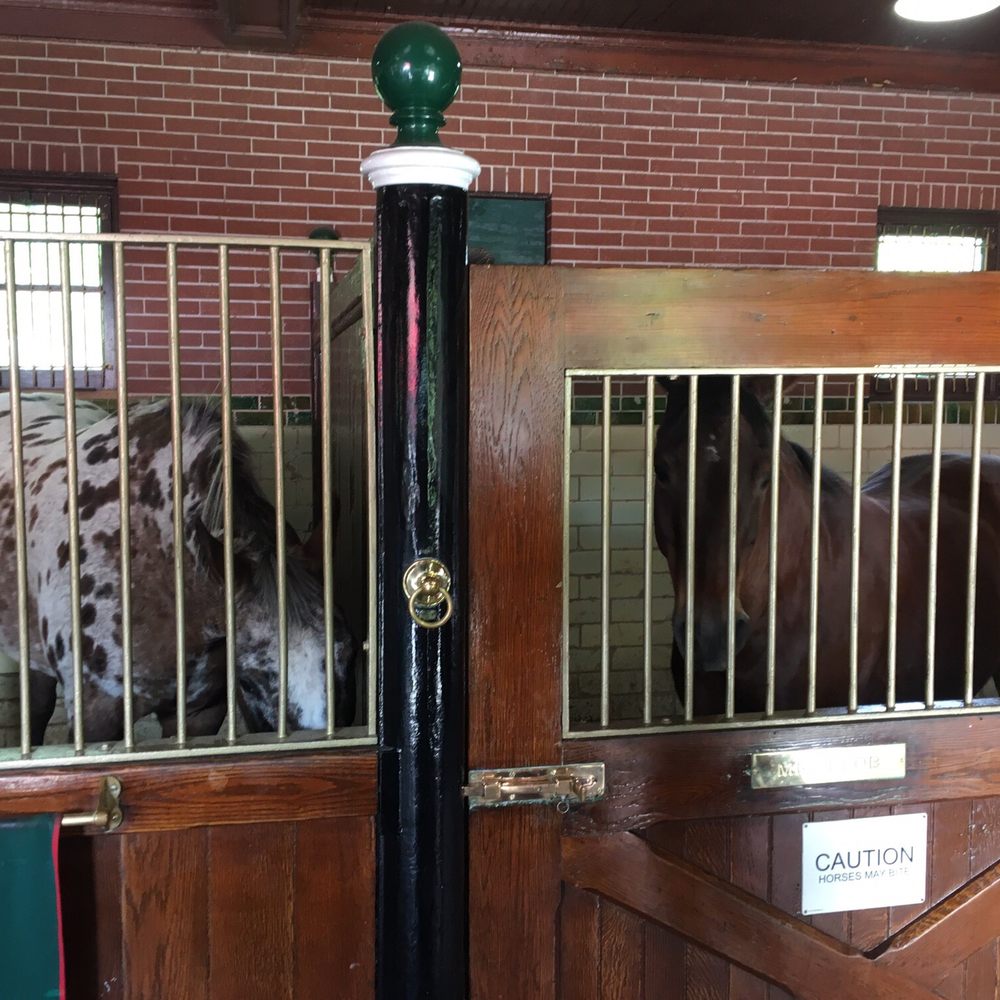 Grant's Farm - A couple horses (not all Clydesdales though) at the beer garden area - Attraction Farms Near Me - St. Louis, Missouri
