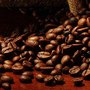 Photo of Barista