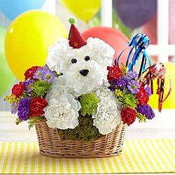 Harvey's Florist & Greenhouse - Send to a friend for their birthday.