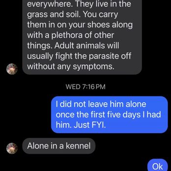 Carson's Critters - This is the exchange that the store owner and I had in Messenger. - Pet Stores Near Me - Brookings, Oregon Carson's Critters - This is the exchange that the store owner and I had in Messenger. - Pet Stores Near Me - Brookings, Oregon