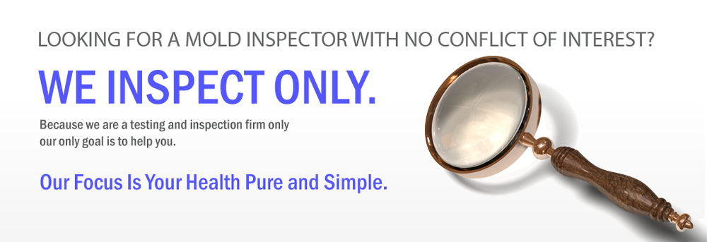 Fungus-A-Mungus - mold inspector in O'Fallon, MO