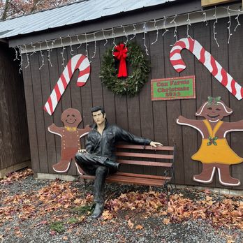 Cox Farms - Christmas Market 2023 - Attraction Farms Near Me - Centreville, Virginia