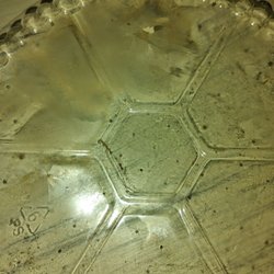 Rocco's Pizza Restaurant - Cracked plastic lid on side item, I might of swallowed plastic