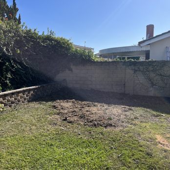 Valencia's Tree Service - Job well done. Stump ground well below soil level, cleaned area nicely. Next up - new turf. - Tree Services Near Me Valencia's Tree Service - Job well done. Stump ground well below soil level, cleaned area nicely. Next up - new turf. - Tree Services Near Me