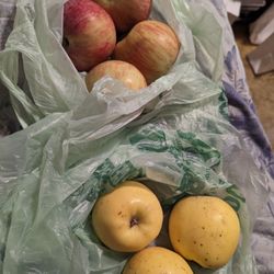 Devoto Gardens & Orchard - Fuji apples and Hawaiian apples, top and bottom respectively
