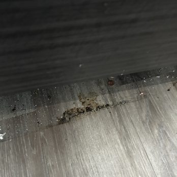 Motel 6 - Tobacco ash/wet gunk - Hotels Near Me - Villa Park, Illinois