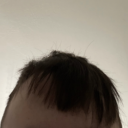 Winsor Family Barbershop - Helen Keller could've done a better job