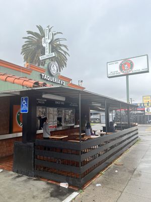 Cactus Taquerias #2 by null