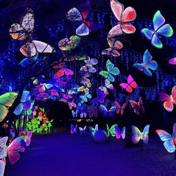 Tianyu Lights Festival - Festivals Near Me - Phoenix, Arizona Tianyu Lights Festival - Festivals Near Me - Phoenix, Arizona