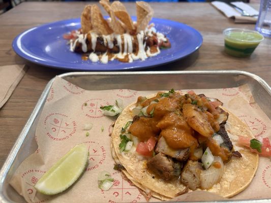 The Little Chihuahua by null