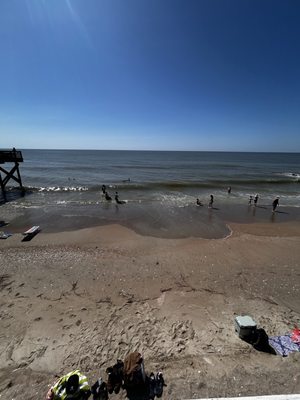 Coot's Bar & Grill by null